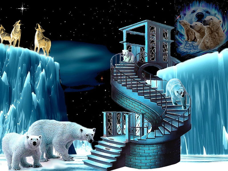 INDIAN, wolfs, 2012, bear, winter, color, nature, wolf, bears, HD wallpaper