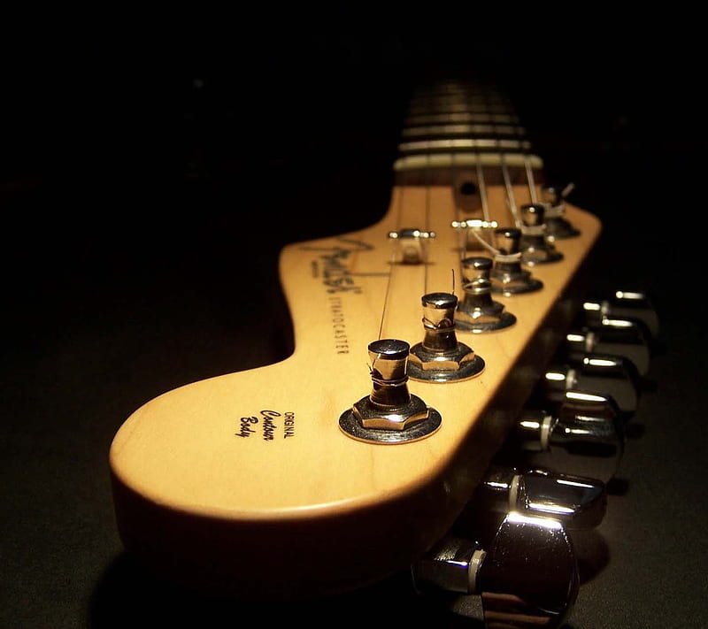 Fender Guitar, gwrywea4ryh, herhe, HD wallpaper