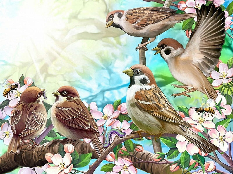 Sparrow Group, blossoms, sparrows, birds, animals, HD wallpaper