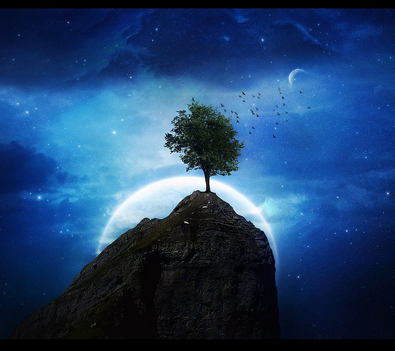 Wallpaper on X: 4k #wallpaper for your #Pc #Nature #Tree #House #Sky  #Cloud #Stars  / X