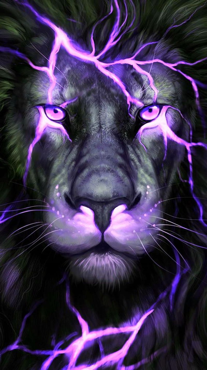 Leon Morado, black, king, leon, lion, lion purple, lions, purple, purple, white, HD phone wallpaper