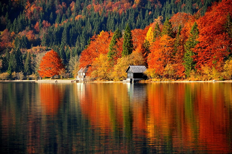 Autumn Lake, autumn, leaves, boathouse, colors, reflection, HD wallpaper