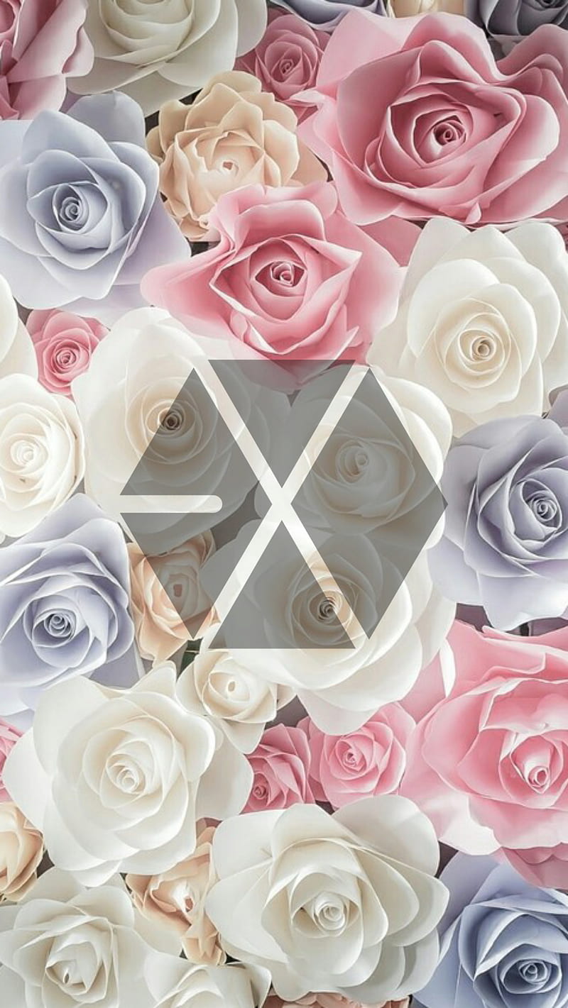 EXO KPop, bigbang, blackpink, bts, exol, got7, ikon, k pop, monstax, sehun, winner, HD phone wallpaper