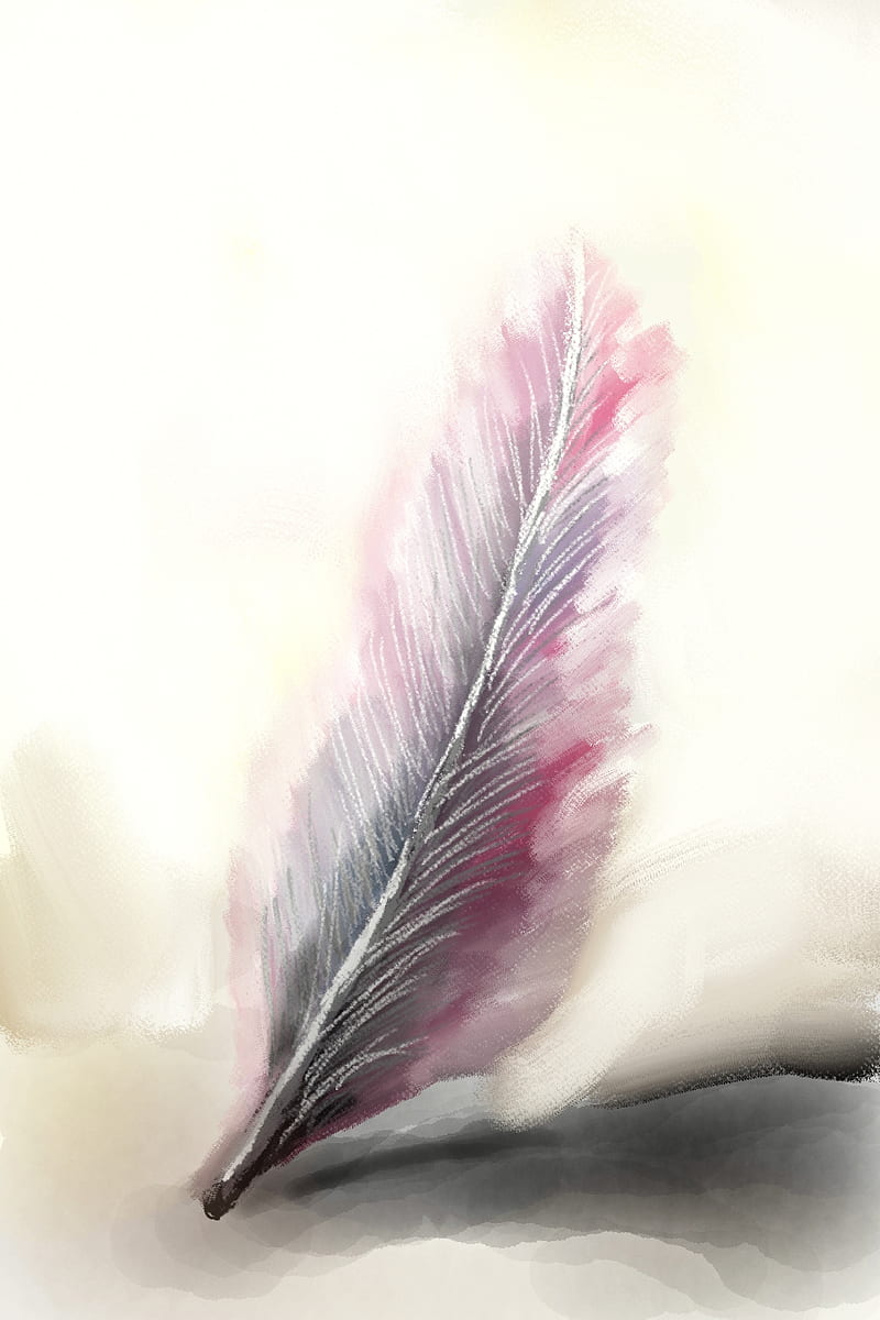 Feather, quill, feathers, black, pen, HD phone wallpaper