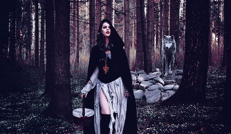 Follow the Girl, follow, forest, wolf, girl, HD wallpaper | Peakpx