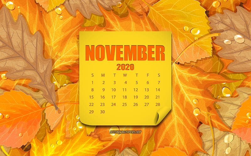 November 2020 Calendar, Yellow Leaves Background, Autumn Background, November, Calendar, Creative Yellow Background, 2020 November Calendar, HD wallpaper