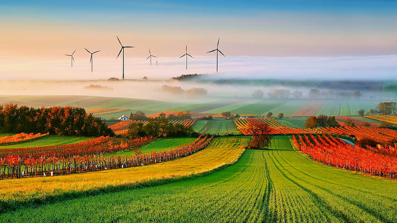 Landscape, Nature, Fog, Field, Wind Turbine, Man Made, HD wallpaper