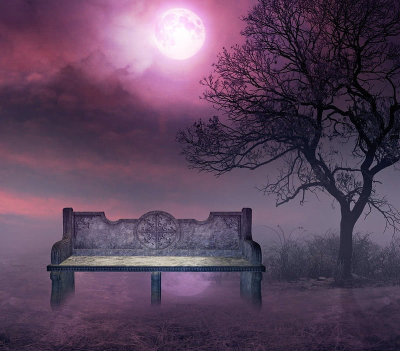 ✰PURPLE AT DUSK✰, colorful, stunning, dry tree, dusk, bonito, magic, stunning place, moon, splendor, stock , magnificent, light, resources, night, lovely, premade, colors, bench, places, cool, purple, backgrounds, nature, HD wallpaper