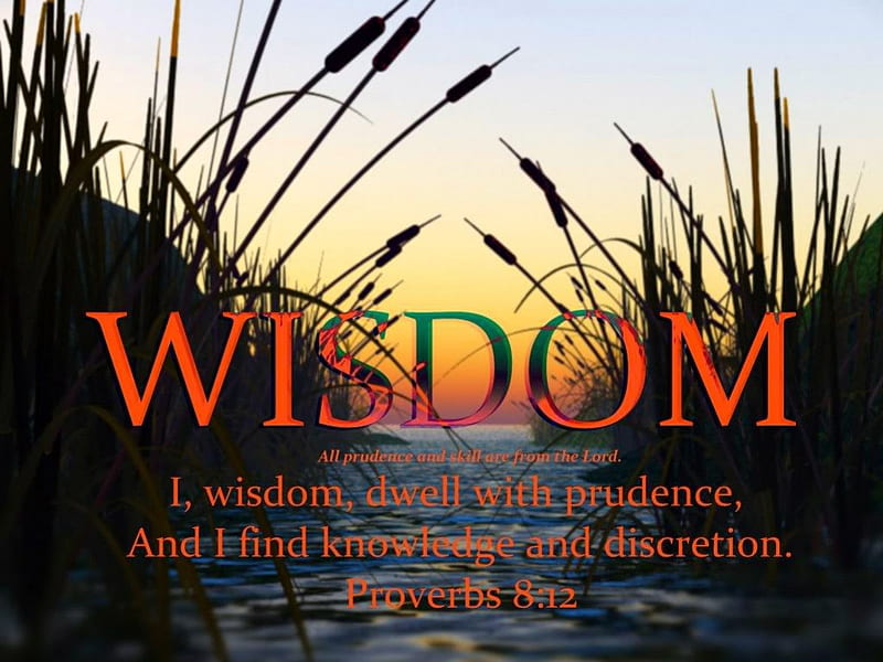 Wisdom, lakes, bible verses, grass, cat tails, reeds, jesus, proverbs, scriptures, bible, god, rivers, holy spirit, HD wallpaper