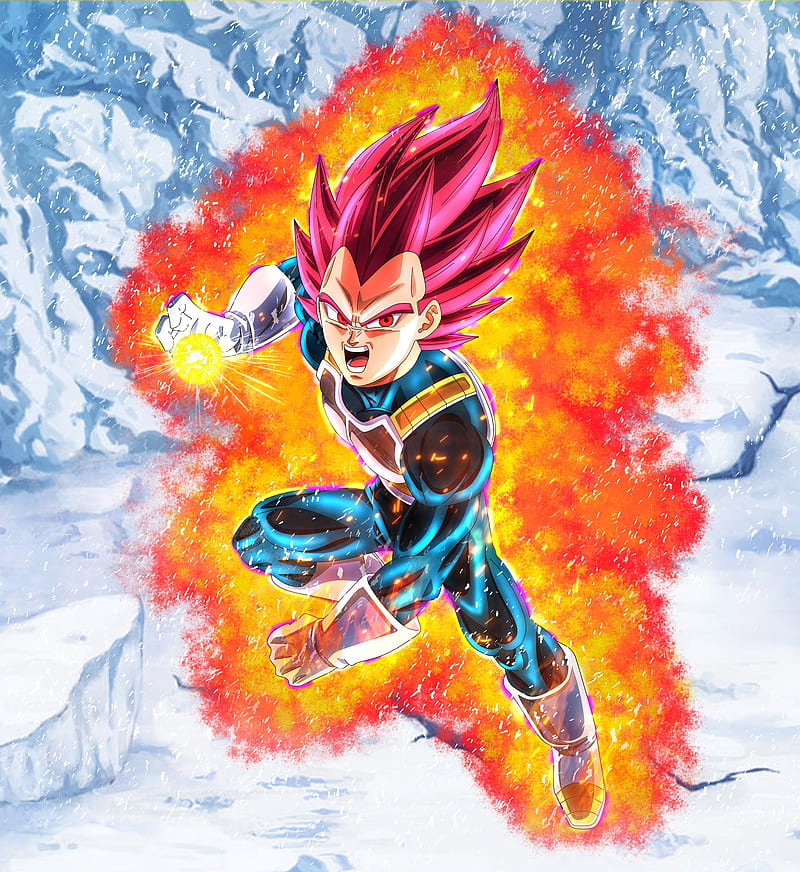 Vegeta SSJ God  Anime dragon ball super, Dragon ball painting, Dragon ball  super artwork