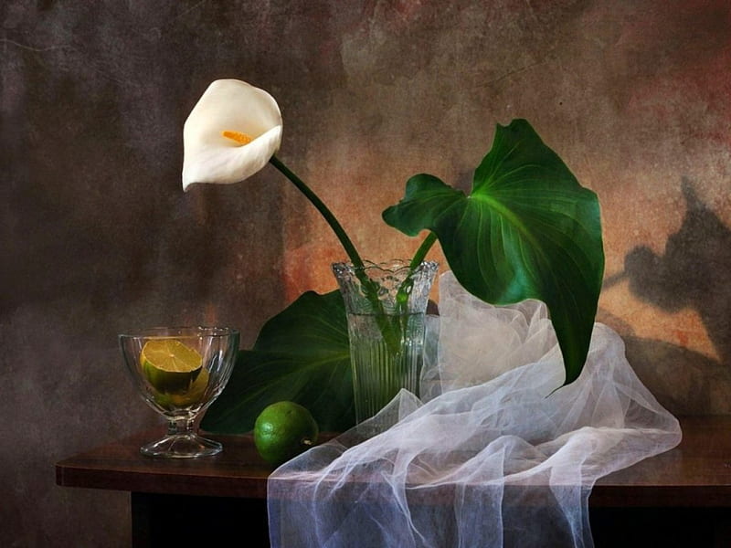 Still Life, table, glass, leaves, drinks, flower, vase, lemon, HD