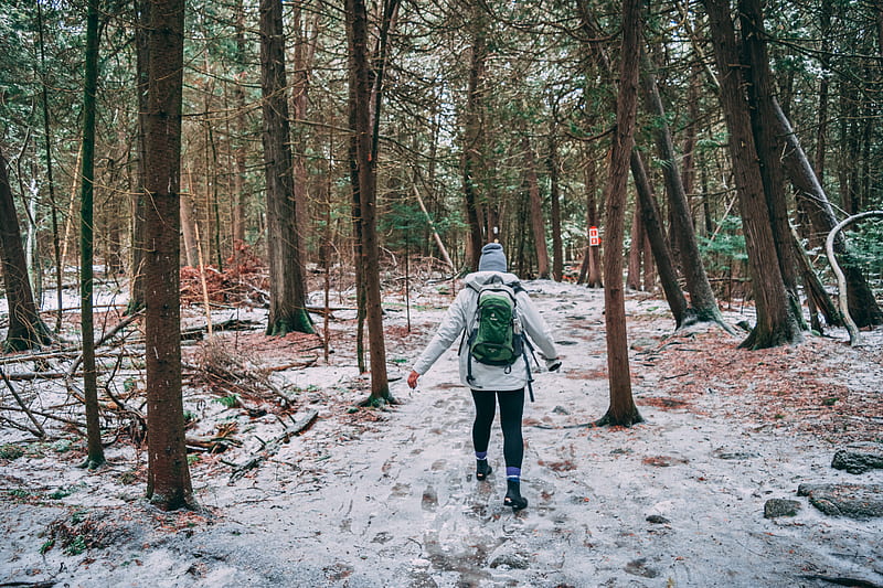 woman wearing white jacket carrying backpack standing beside trees, HD wallpaper