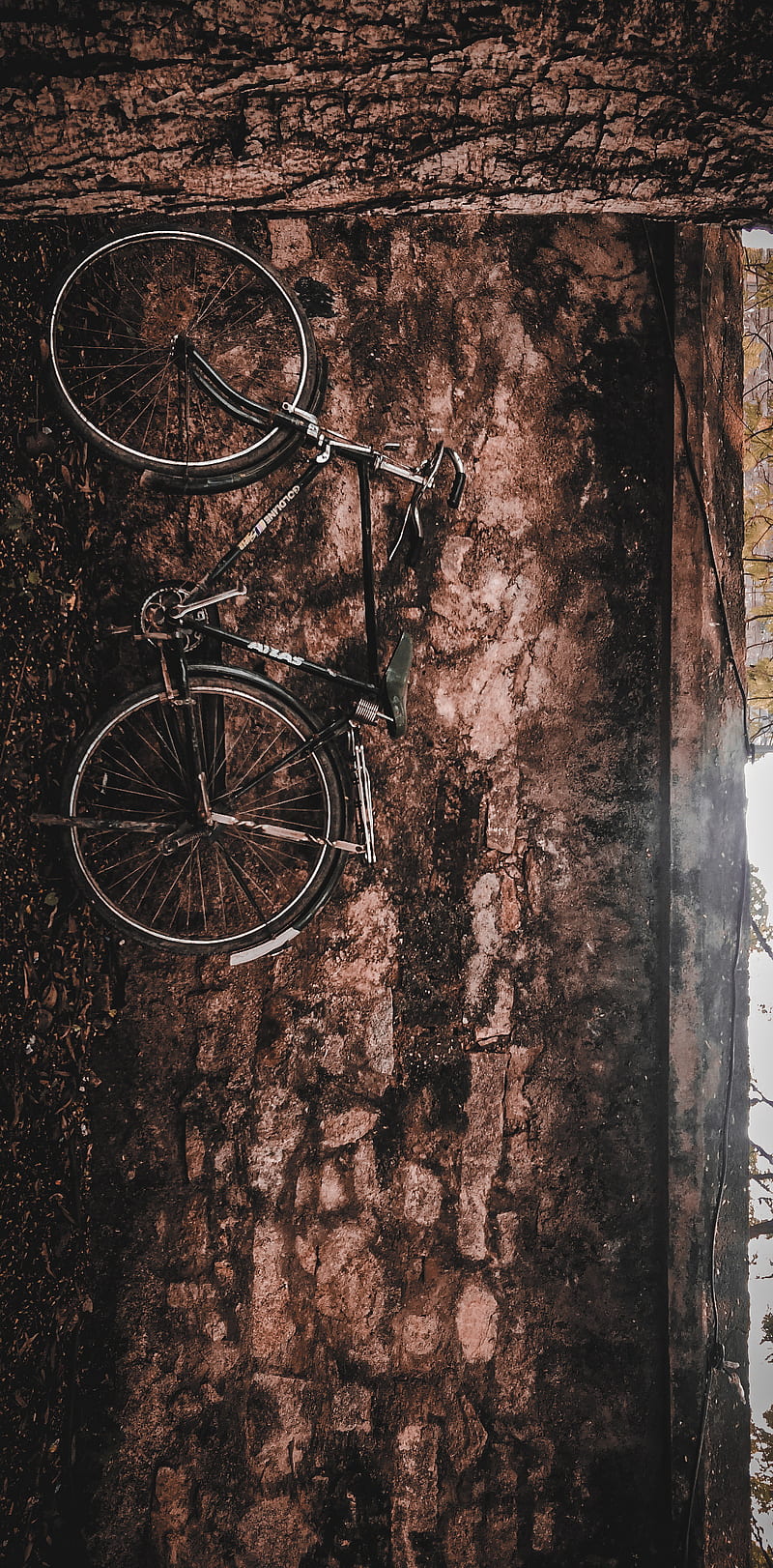 VINTAGE, bicycle, bike, cycle, landscapes, lifestyle, light, nature, old, wall, HD phone wallpaper