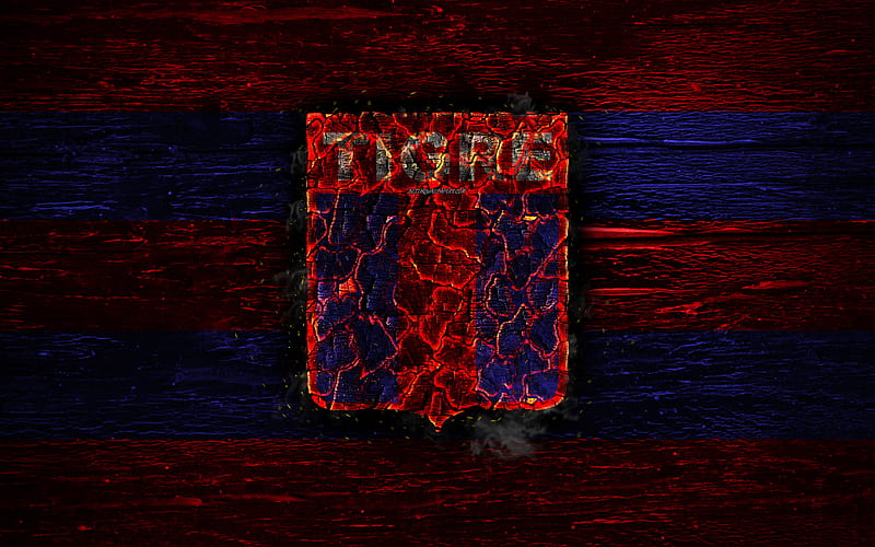 Tigre FC, fire logo, Argentine Primera Division, red and blue lines, Argentinean football club, AAAJ, Argentina Superliga, football, soccer, logo, CA Tigre, wooden texture, Argentina, HD wallpaper