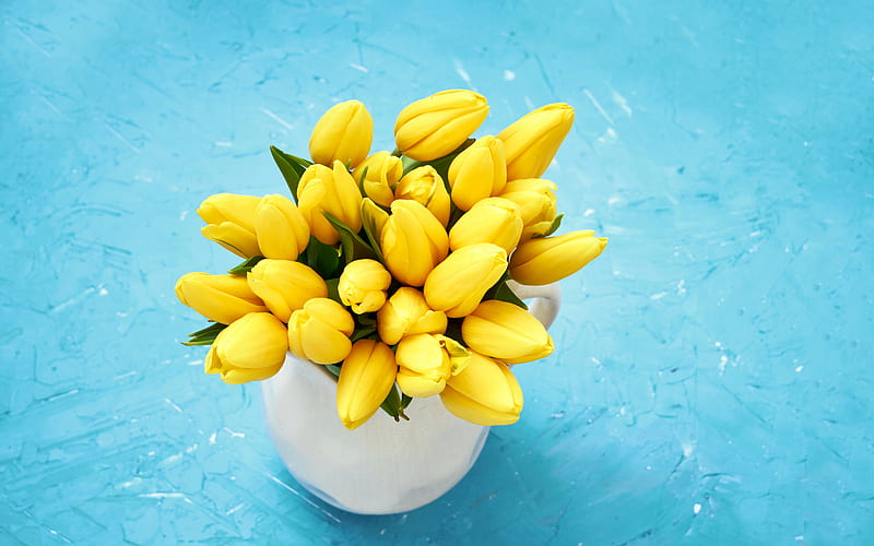yellow tulips, a bouquet of tulips, a vase, yellow beautiful flowers, tulips, spring flowers, tulips on a blue background, HD wallpaper
