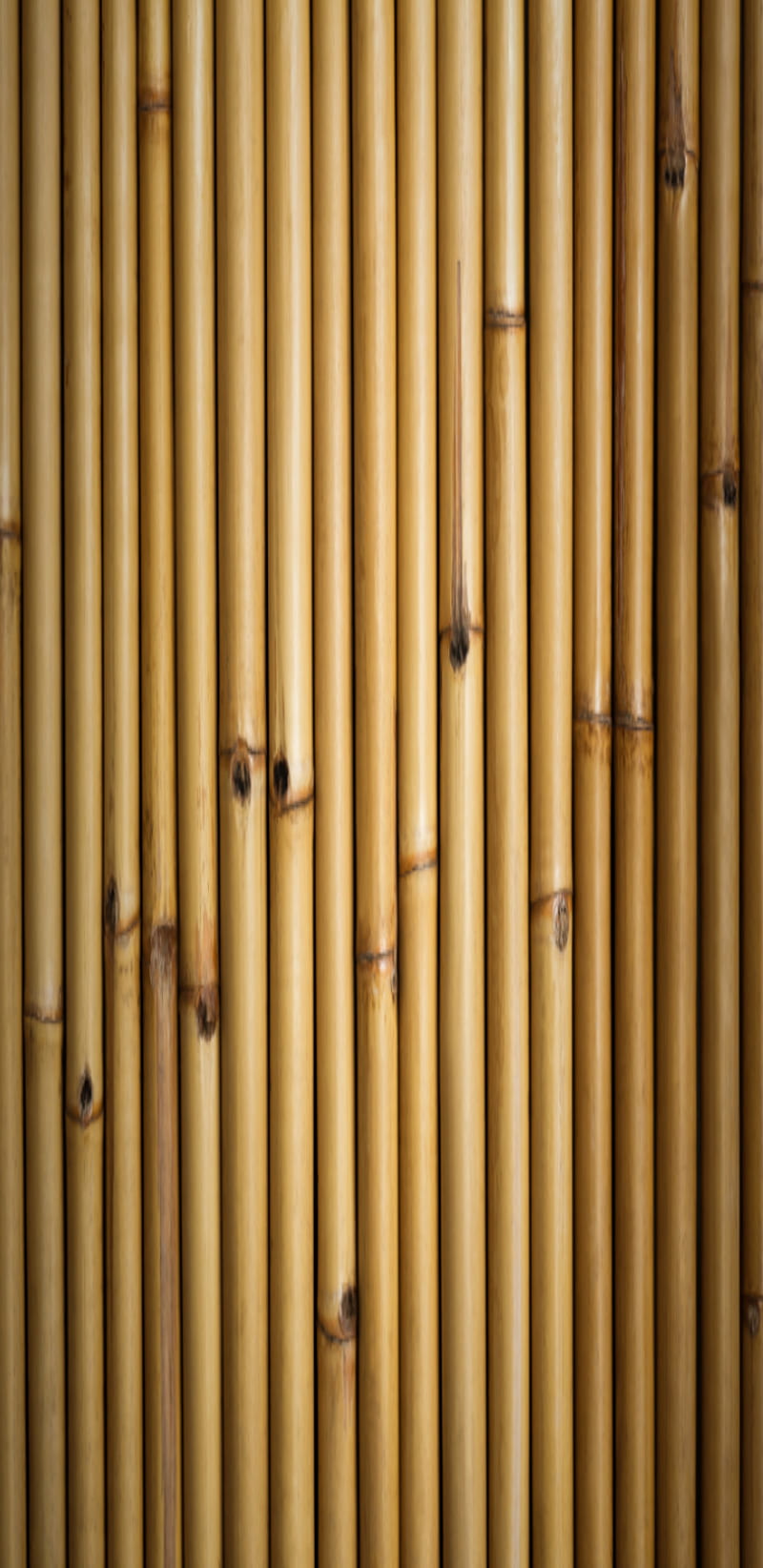 Bamboo, brown, floor, knot, simple, tan, wall, wood, HD phone wallpaper