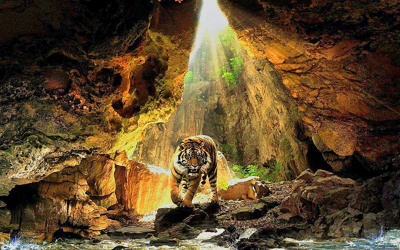 Bengal Tiger 3D, 3d, bengaltiger, animals, HD wallpaper | Peakpx