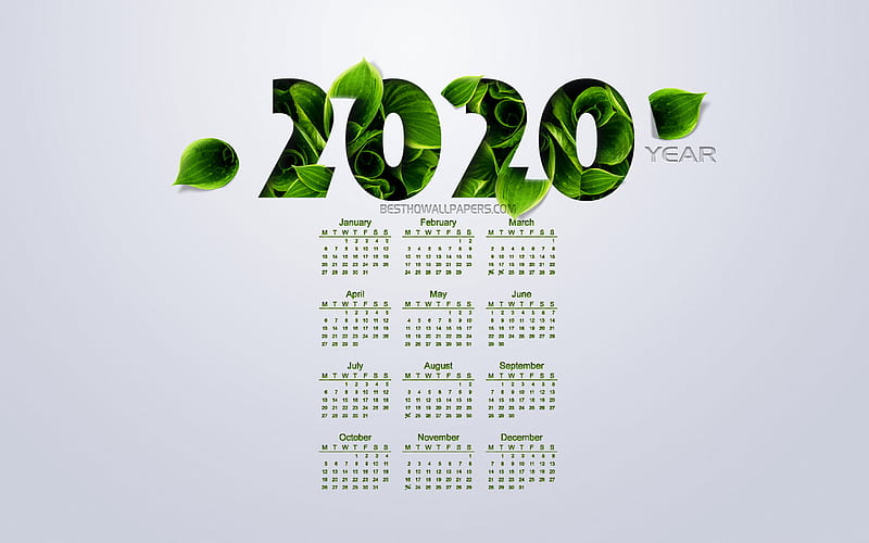 2020 Calendar, creative art, green leaves, gray background, Calendar for 2020 year, eco concepts, Green 2020 Calendar, HD wallpaper