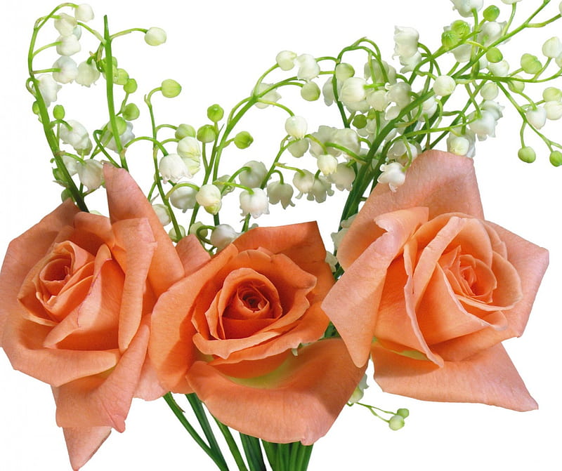 roses with lily of the valley, lily of the valley, bouquet, flowers, peach, roses, HD wallpaper