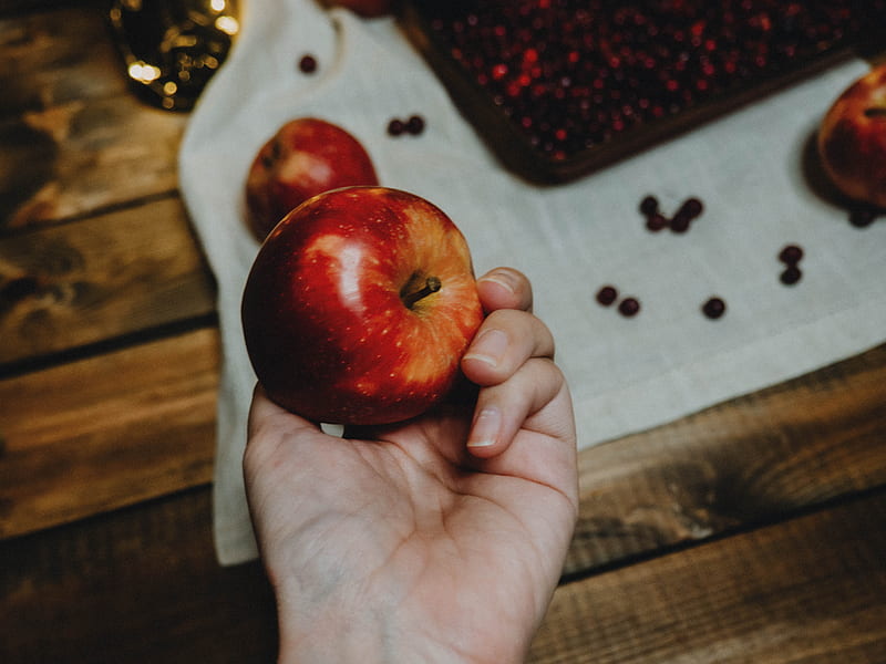 person holding red apple fruit, HD wallpaper