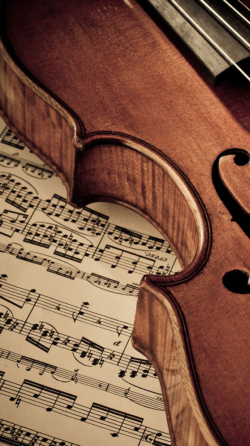 Beautiful Violin - Music & Entertainment Background Wallpapers on Desktop  Nexus (Image 937543)