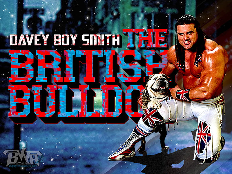 Davey Boy Smith, the British Bulldog, davey, wwf, wrestling, esports, bulldog, HD wallpaper