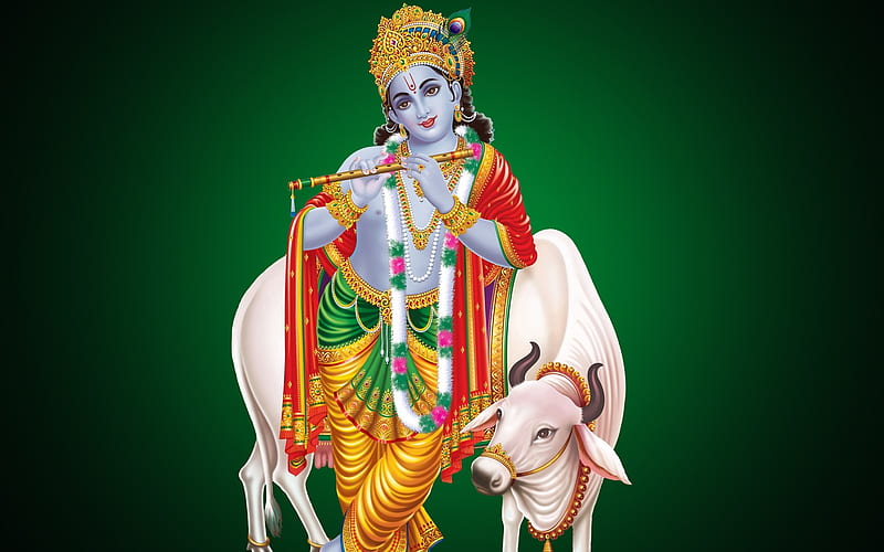 Shri krishna with cow, Major deity of Hinduism, eighth avatar of the god  Vishnu, HD wallpaper | Peakpx
