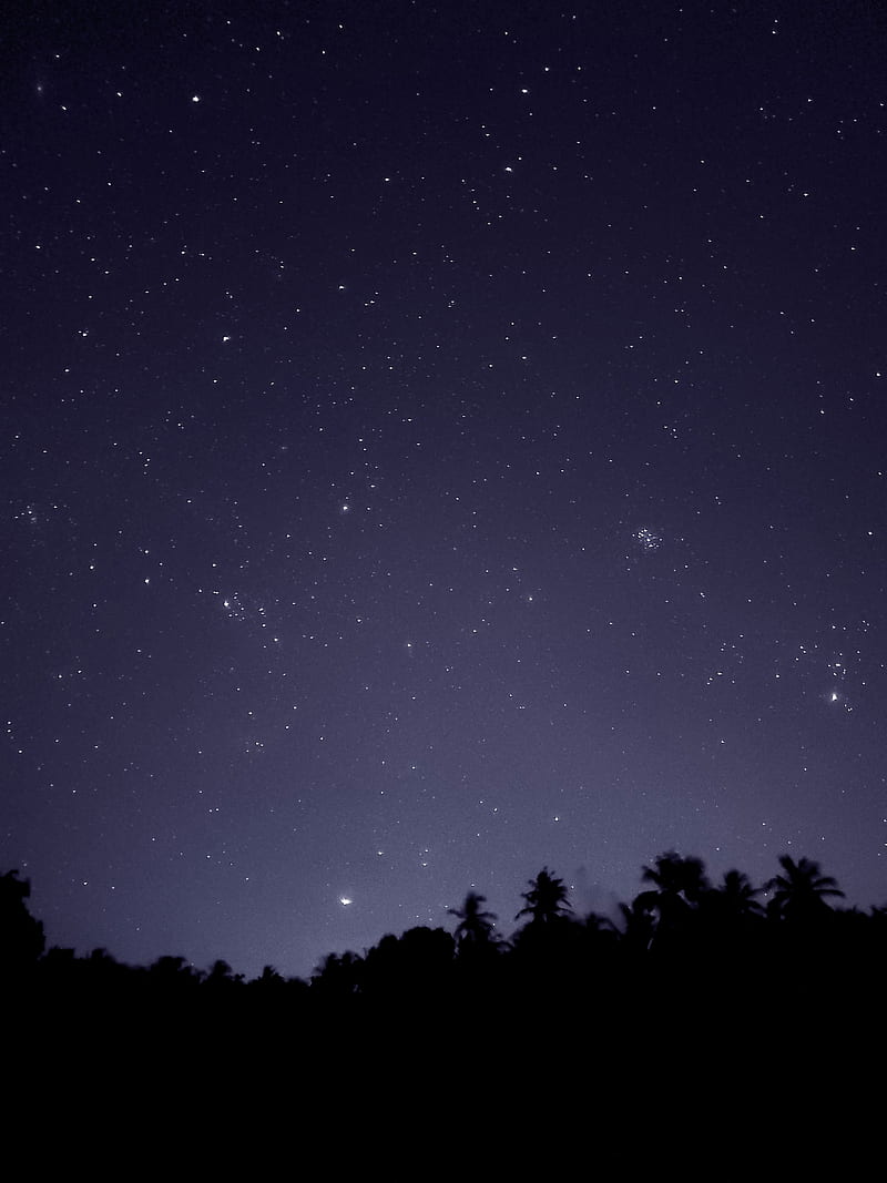 starry sky, trees, outlines, night, dark, HD phone wallpaper