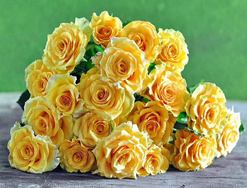 Sunny roses, green, flowers, yellow, sunny, beauty, roses, HD wallpaper ...