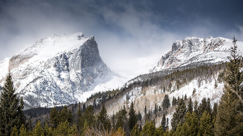 snow line, trees, sky, mountains, hills, Landscape, HD wallpaper