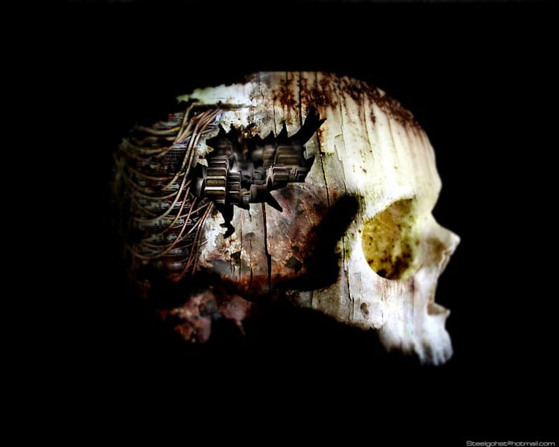 Inner workings, death, skull, HD wallpaper
