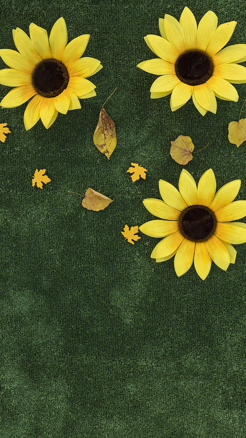 Sunflower Turf, Kiss, flowers, green, pretty, sunflowers, yellow, HD phone wallpaper