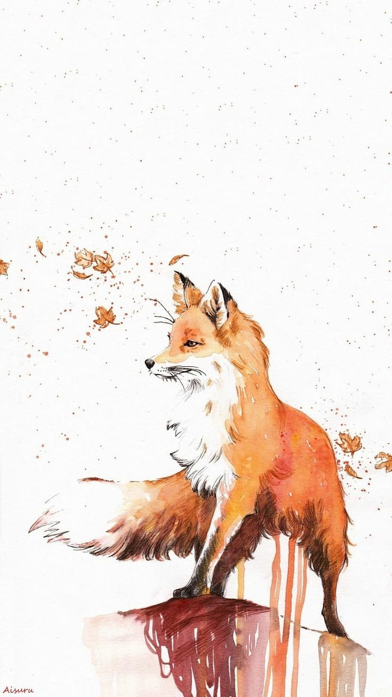 Fox, animal, wild, HD phone wallpaper