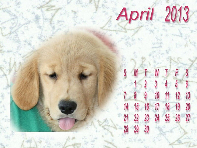 1920x1080px, 1080P free download | April is here ., calendars, april ...