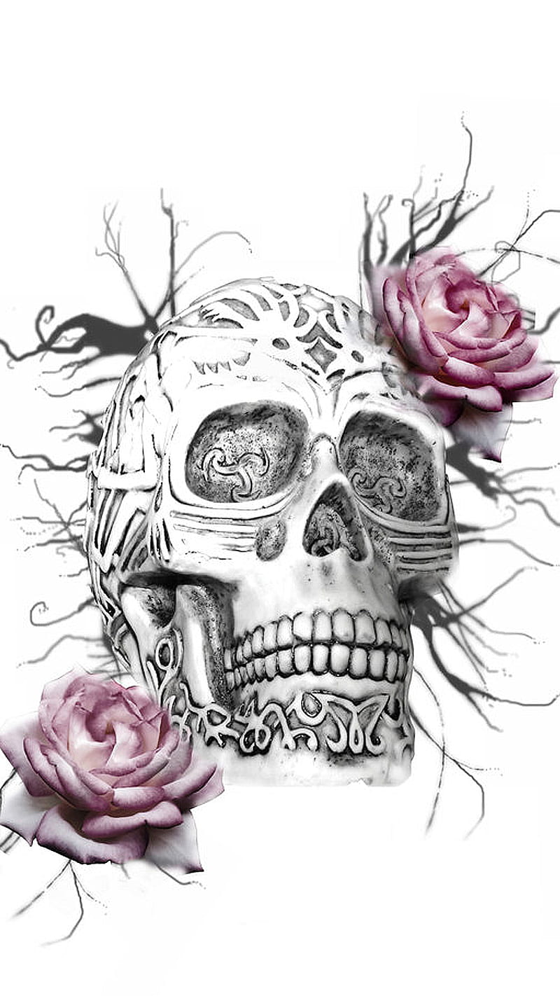 Roses skull, pink, rose, skull, white, HD phone wallpaper