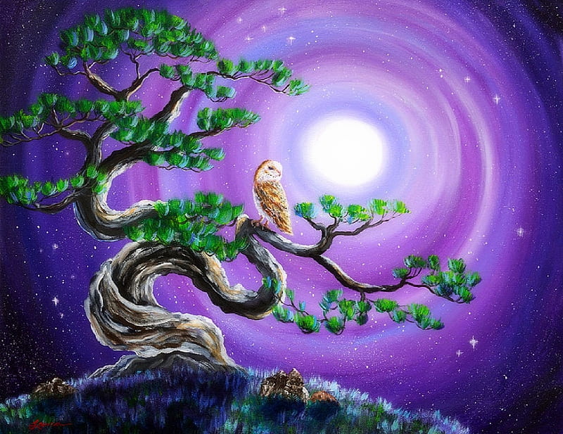 Owl in Twisted Pine Tree, owl, moons, draw and paint, love four seasons, attractions in dreams, pine tree, paintings, nature, animals, HD wallpaper