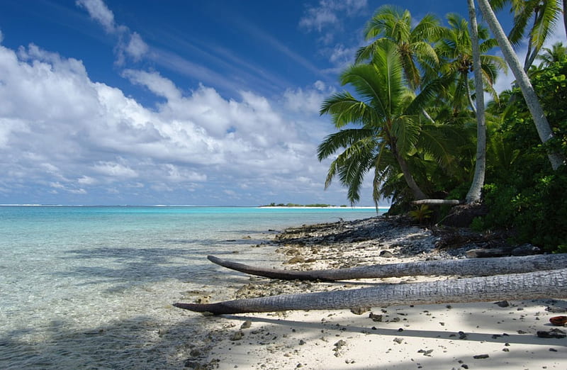 One Foot Island Aitutaki Tuamatu Atoll French Polynesia, polynesia, french, palm, bonito, sea, atoll, beach, aitutaki, lagoon, sand, foot, polynesian, blue, exotic, islands, ocean, pacific, one, tuamatu, trees, south, alone, paradise, island, tropical, HD wallpaper
