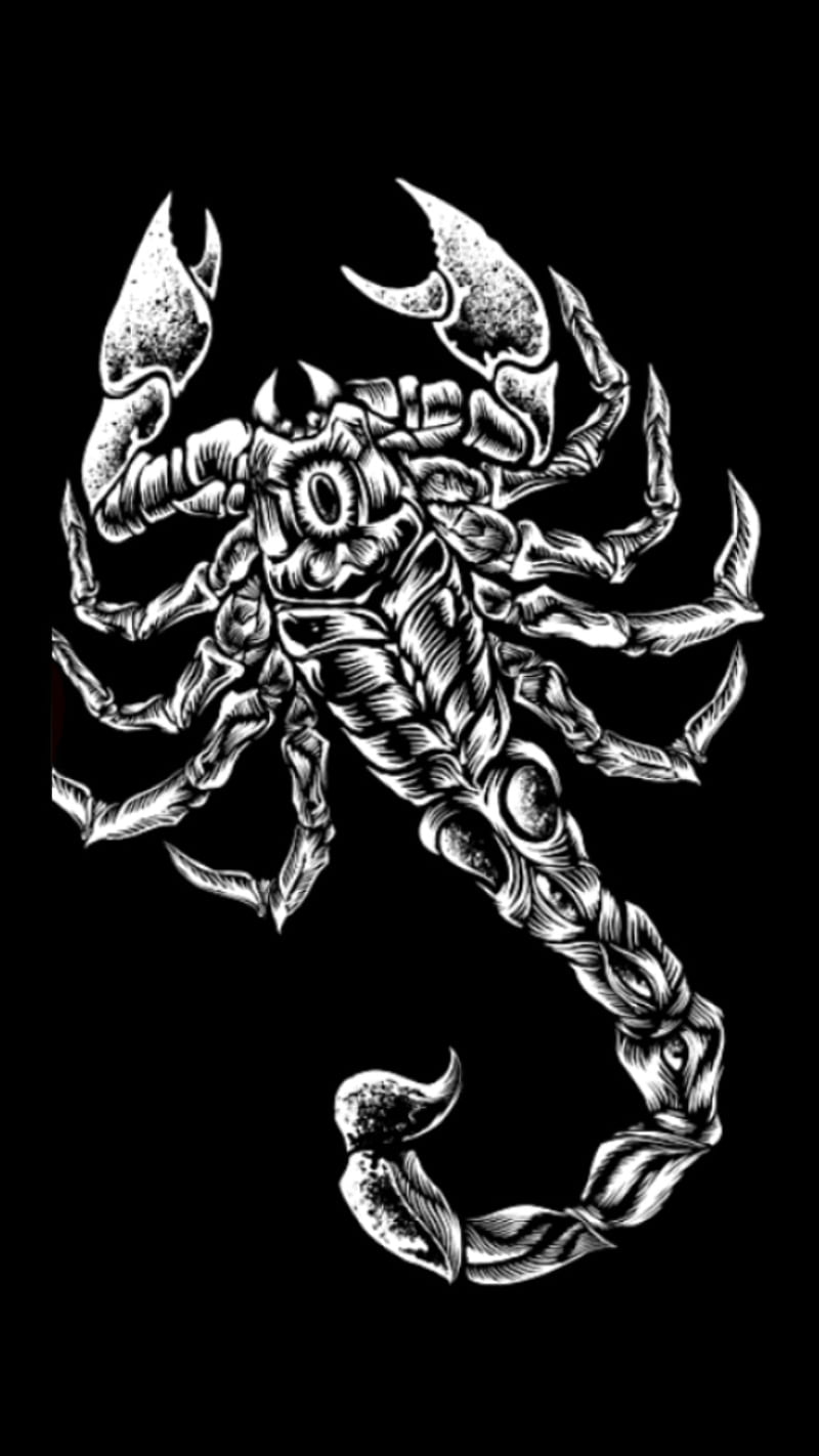 Sting Files For New Trademark On Scorpion Logo - WrestleTalk
