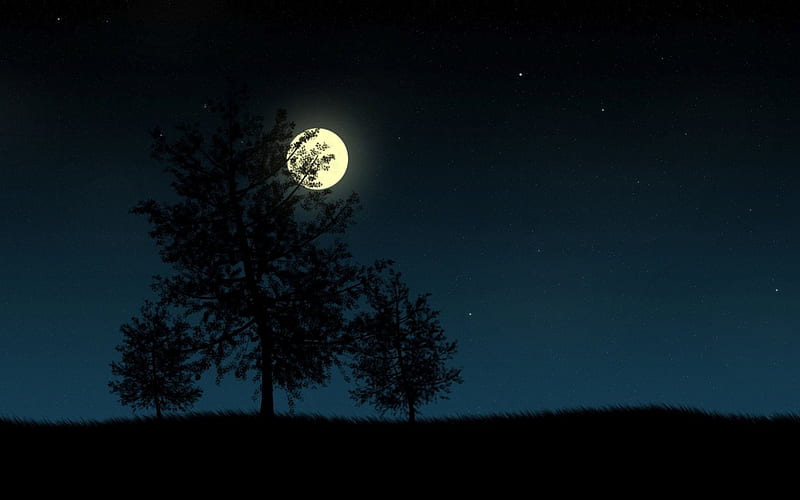 Full Moon Night, stars, moons, 3D and CG, full moon, trees, abstract, sky, night, HD wallpaper
