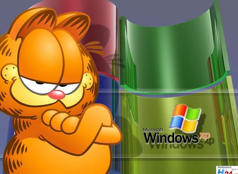 Garfield XP design, XP, Garfield technology, Windows, HD wallpaper