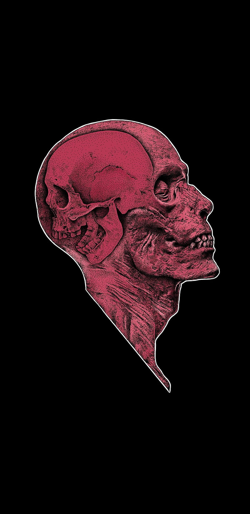 Anatomy psychopath , muscle, skull, HD phone wallpaper