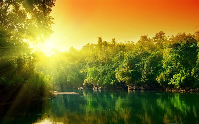 lush green forest river at sunrise-Beautiful river landscape graphy, HD wallpaper