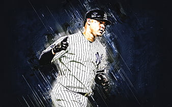 Gary Sanchez, New York Yankees, Dominican Baseball Player, MLB ...