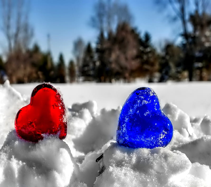 heart to heart, HD wallpaper heart to heart, HD wallpaper