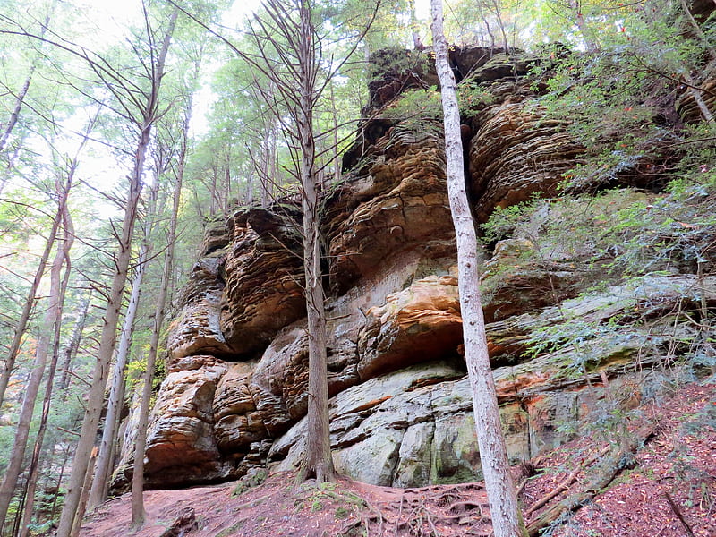 Cliff at Hocking Hill's, forest, boulder, Ohio, trees, Hocking Hill, pine, stone, nature, cliff, HD wallpaper
