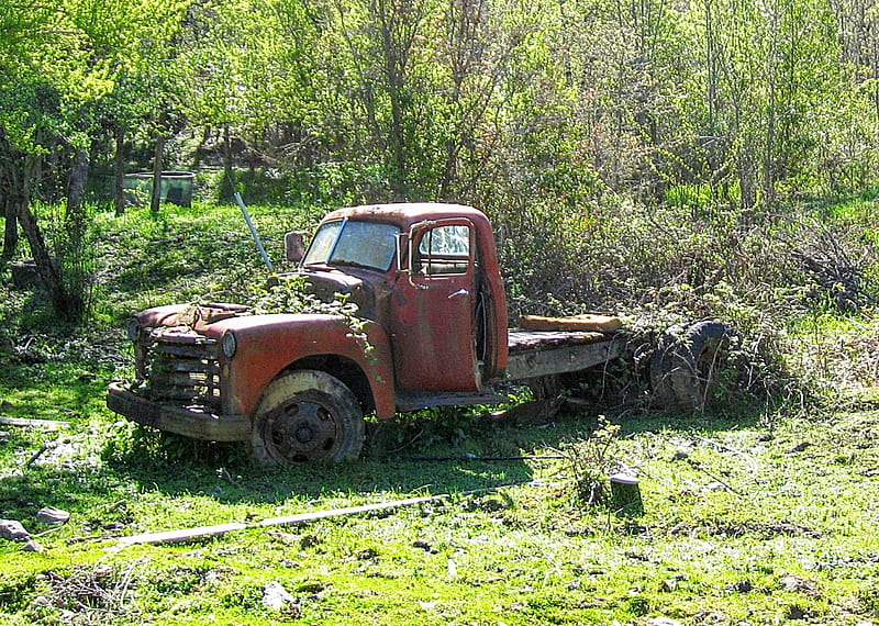 Going back to nature, grass, field, truck, weeds, old, abandoned, HD ...