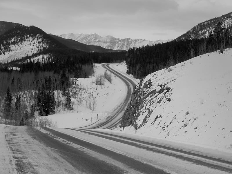 Black and white Kananaskis, Canada, Kananaskis, Alberta, Rockies, Monochrome, HD wallpaper