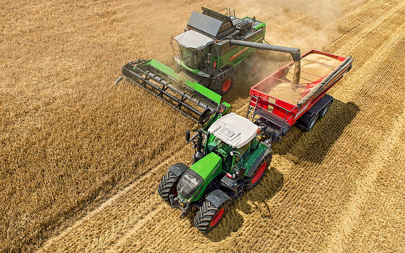 Fendt 828 Vario, Fendt 6275 L wheat harvesting, 2020 combines, combine-harvester, harvesting concepts, agricultural machinery, Fendt, HD wallpaper