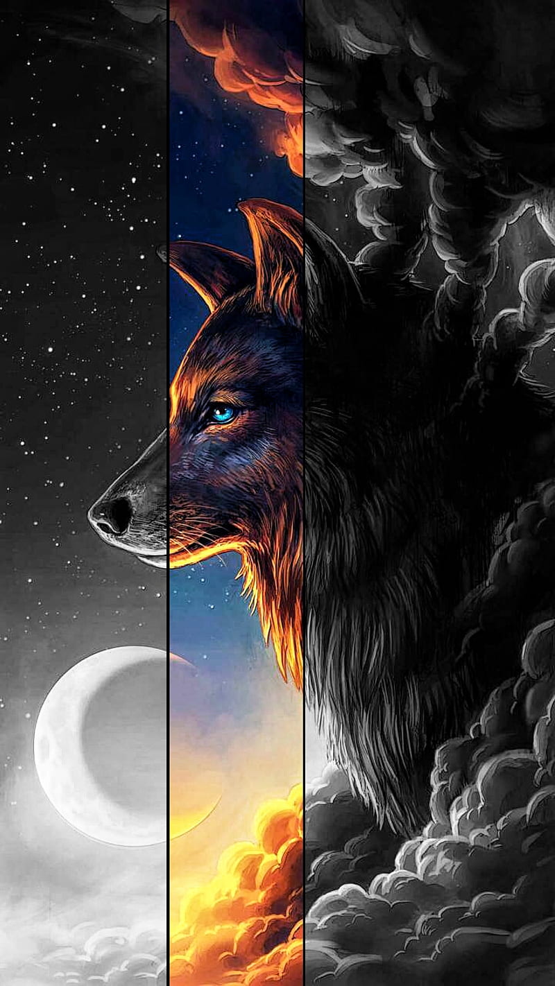 Wolf  Black And White Wolf Wallpaper Download  MobCup