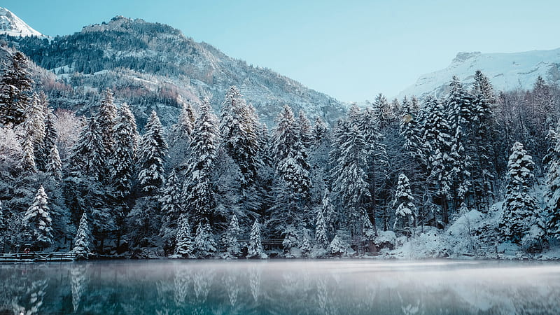 Switzerland Lake And Snow Covered Mountain And Trees Under Blue Sky During Winter Nature, HD wallpaper